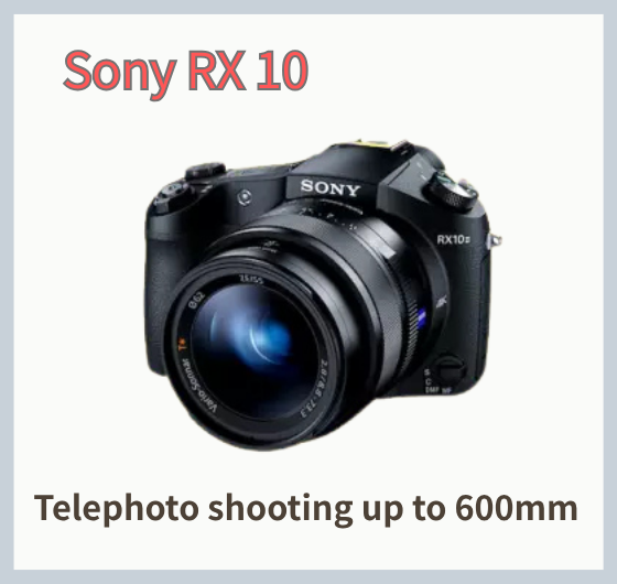 RX10 picture